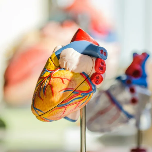 Medical equipment and medical device photography