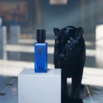 A stunning CGI product photograph for a Saudi Arabian perfume brand, showcasing a sleek black puma (wildcat) in a gallery setting, subtly drawn by the alluring scent of the elegant blue perfume bottle. This project highlights a captivating blend of nature and luxury in a modern, photorealistic style.